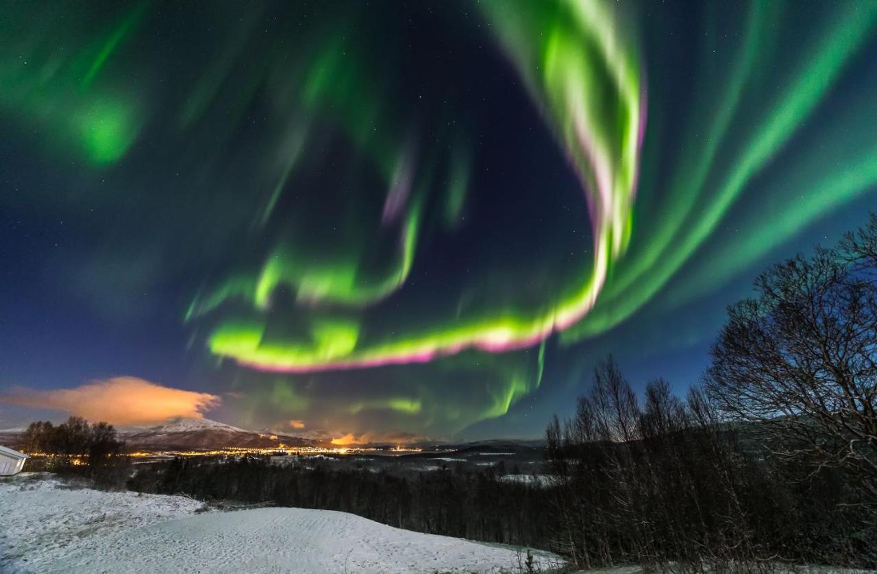 Aurora Borealis Observatory Silsand Εξωτερικό φωτογραφία